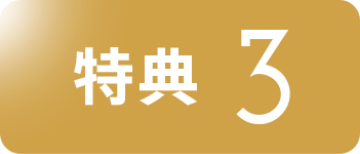 ���T3